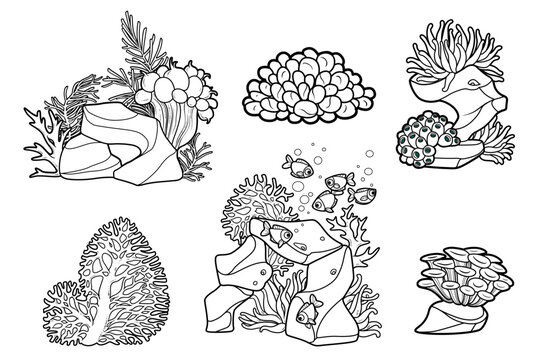 Sea creatures and objects anemones and coral in compositions on stones with fishes outlined for coloring pages