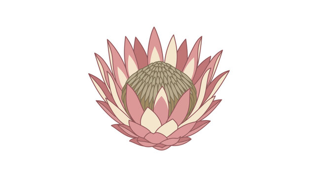 Pink protea flower with green center