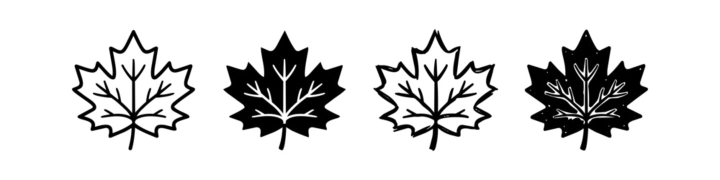Set of black and white maple leaf icons in outline and silhouette styles, featuring clean and hand-drawn doodle designs isolated on a white background.