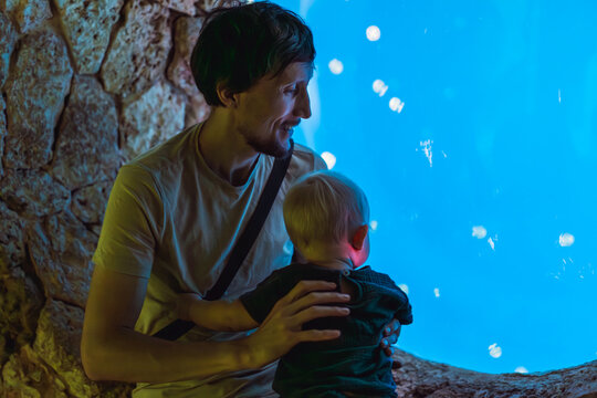 Father holding little baby while watching fish through aquarium window, early childhood learning, marine life discovery and family outing concept