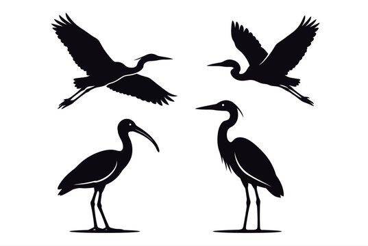 Heron silhouette set, flying crane birds, standing egret and ibis vector icons