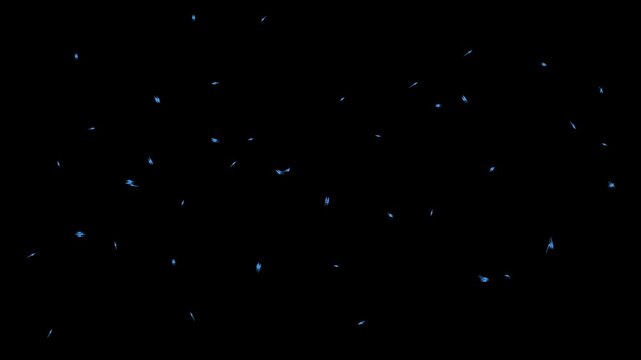 Blue boids flocking swarm simulation animation