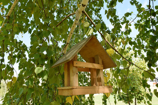 Wooden bird feeder hanging from birch tree branch with green and yellow leaves, handmade rustic design against blue sky