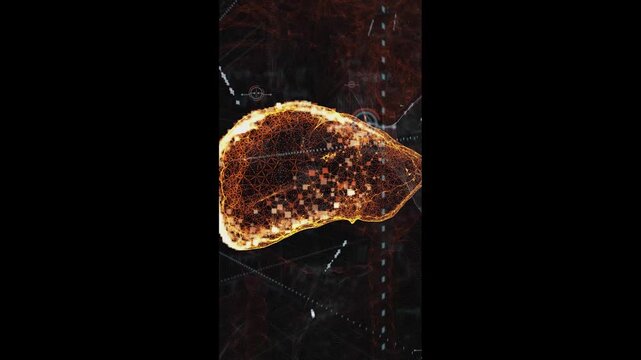 Human Liver Anatomy Animation with Glowing Highlight, Detailed Hepatic Structure and Blood Vessels, Medical Science and Healthcare Visualization, Vertical Full HD