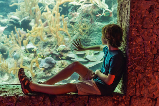 Older child observes colorful fish and coral behind glass, showing ocean education, curiosity, science learning and family travel concept
