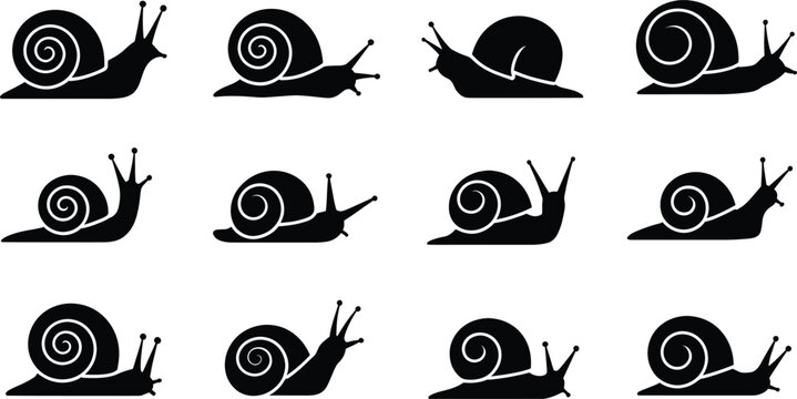 Set of twelve black snail silhouettes, of garden snails with spiral shells and sensory tentacles in various poses