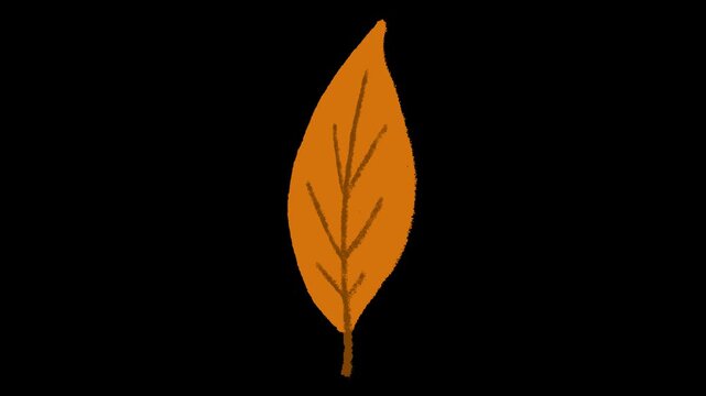 Hand-drawn chalk autumn leaf icon element drawing on alpha 2
