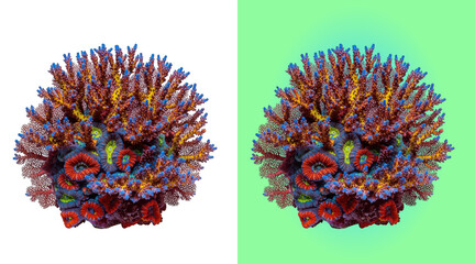Colorful abstract molecular coral reef structure © Design Planer