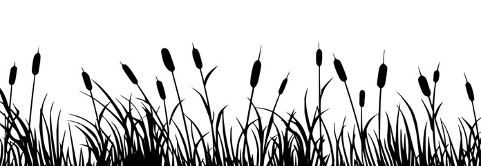 Fototapeta premium Cattail and reed grass silhouette border on white background.