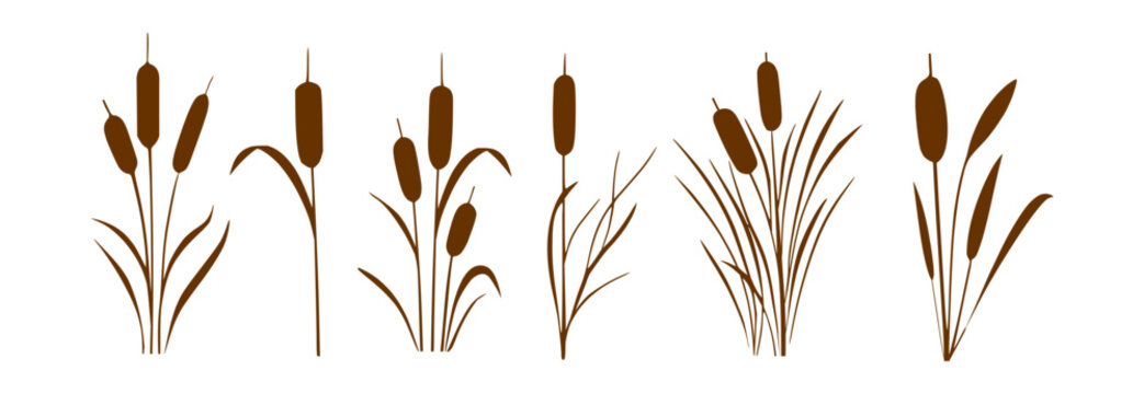 Set of boho wild grass and cattail silhouette posters in beige and brown.