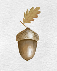 Hand drawn digital watercolor autumn acorn with a small oak leaf, isolated on white paper texture background. Elegant botanical fall element for Thanksgiving decor, seasonal branding and seamless patt © alina_melanych
