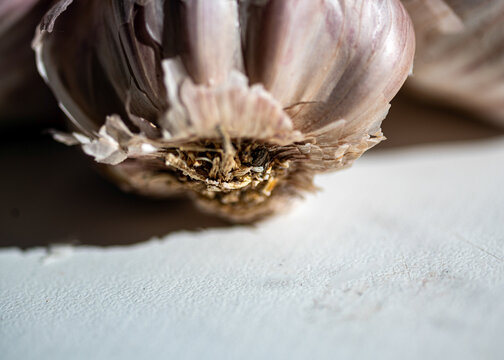 view of garlic, autumn vegetable harvest, vegetarian, clean and natural diet, autumn harvest time,