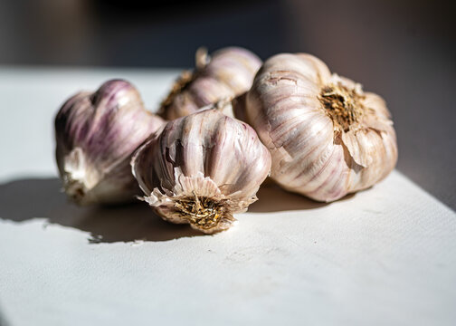 view of garlic, autumn vegetable harvest, vegetarian, clean and natural diet, autumn harvest time,