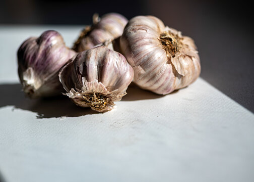 view of garlic, autumn vegetable harvest, vegetarian, clean and natural diet, autumn harvest time,