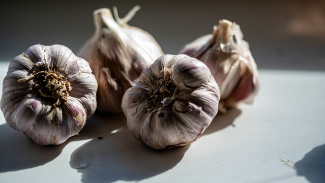 view of garlic, autumn vegetable harvest, vegetarian, clean and natural diet, autumn harvest time,