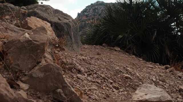 Close up of a hiker stepping down a steep rocky mountain path in light open sandals over loose gravel and large boulders in El Chorro Andalusia Spain showing careful footwork on rugged terrain