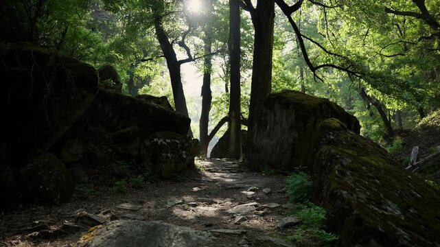 Sunlit forest path weaves between large moss covered boulders and tall tree trunks with sunbeams breaking through the dense green canopy above