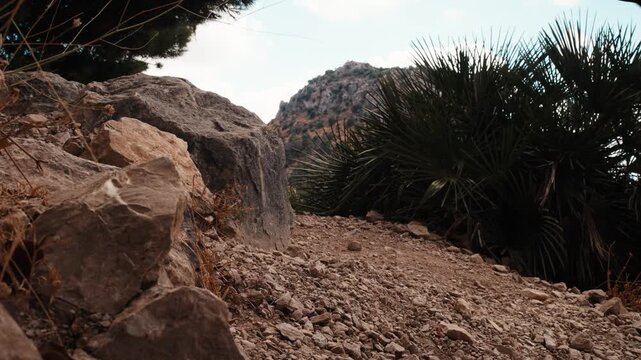 Low angle view of a male hiker walking down a rocky mountain trail in sandals past large boulders and spiky dry plants in El Chorro Andalusia Spain under natural light