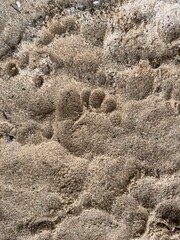 toes in the sand © Garrett