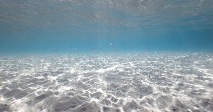 Crystal blue sea underwater and sandy sea bottom on a sunny day