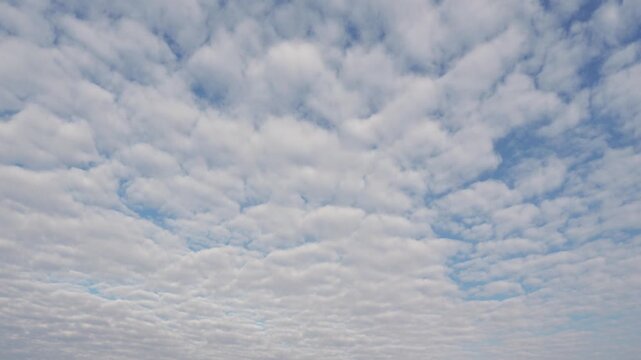 Altocumulus floccus clouds drift across a blue sky in time lapse, atmospheric weather, cloud movement and scenic natural background.