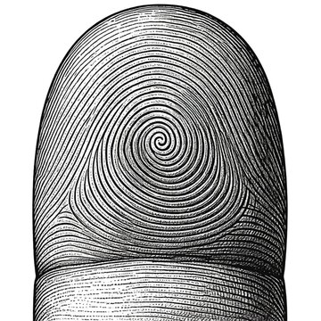 fingerprint on white background