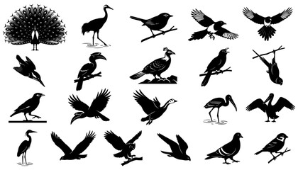 Fototapeta premium Silhouette Bird Illustrations Set with Diverse Species and Wing Positions