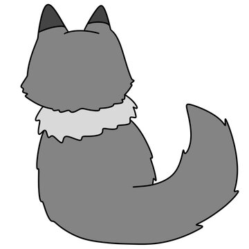 Gray cat with pointed ears and bushy tail
