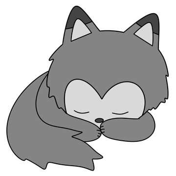Cute gray fox sleeps peacefully, eyes closed