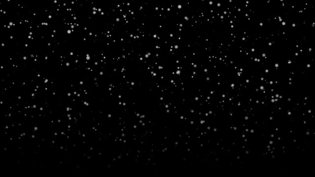 Particle drift fills black background with scattered white specks. Snowlike particles move evenly across frame, forming clean abstract backdrop for titles, transitions, or seasonal graphics.
