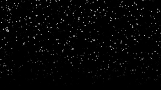 Black background carries dense particle field of white drifting specks. Snow like dots glide in soft streams, producing calm abstract movement suited for winter themed graphics or screens.