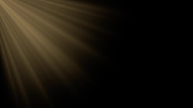 Sun rays spread over black space in dramatic lighting. Soft golden shafts drift outward with subtle haze, giving scene quiet, polished look suited to elegant visual branding. Light forms radial beams.