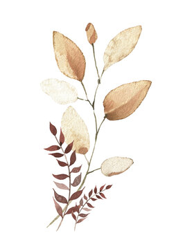 Watercolor floral fall arrangement bouquet. Pale orange, burgundy, brown autumn wild branches, leaves and twigs. Hand painted isolated template design.