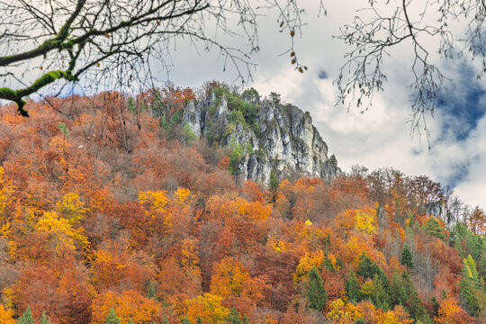 Stunning autumn forest landscape with vibrant orange and yellow trees covering a steep hillside beneath dramatic cloudy skies and rocky cliffs framing the scenic natural view in peak fall season