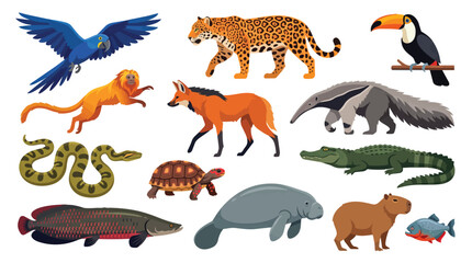 Fototapeta premium Collection of diverse jungle animals on white