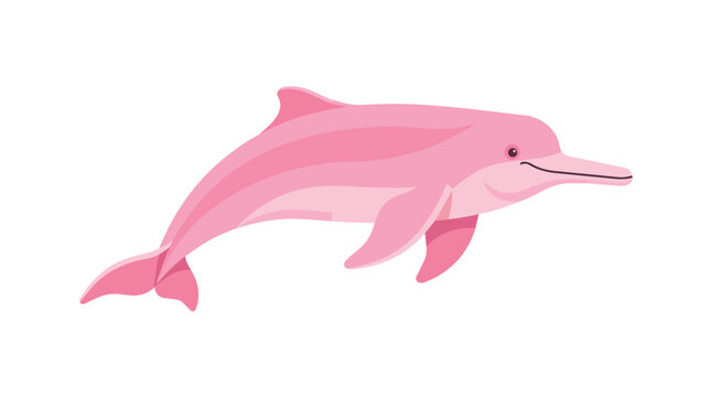 Stylized pink river dolphin illustration
