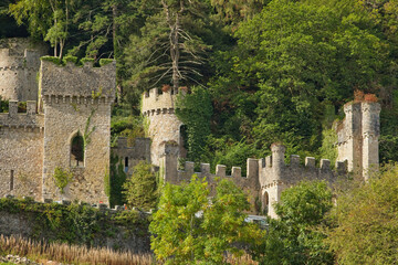 A historic stone castle or ruins, partially covered in lush green foliage, features multiple towers and battlements on a tree-covered hillside - Gwrych Castle, Abergele, Wales, UK © Robert