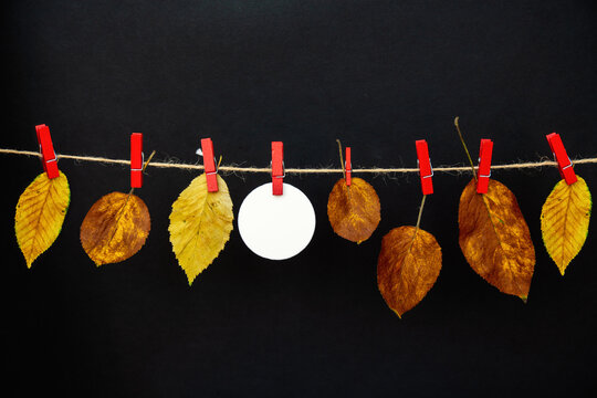  autumn composition dry yellow and brown leaves with a blank paper card hanging on a twine rope with clothespins. Autumn mockup with copy space for text.