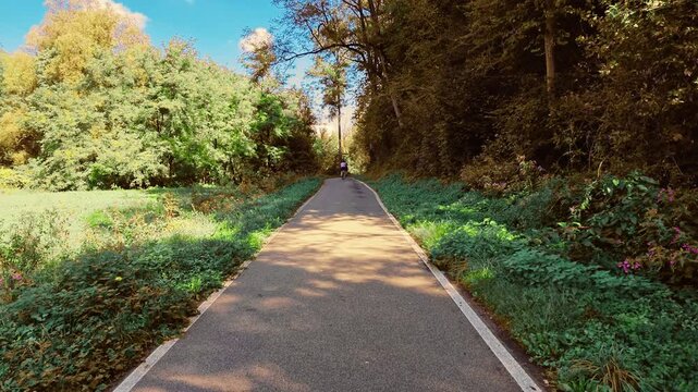 An idyllic landscape with a road winding through the greenery and cyclists in the distance, on a clear, sunny day