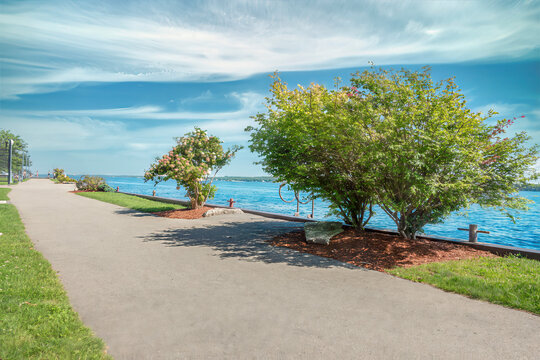 A concrete walkway along a river, with hydrangea in foreground, sunny, nobody