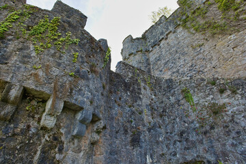 A low-angle view of old, weathered stone castle walls, partially covered in green ivy - Gwrych Castle, Abergele, Wales, UK © Robert