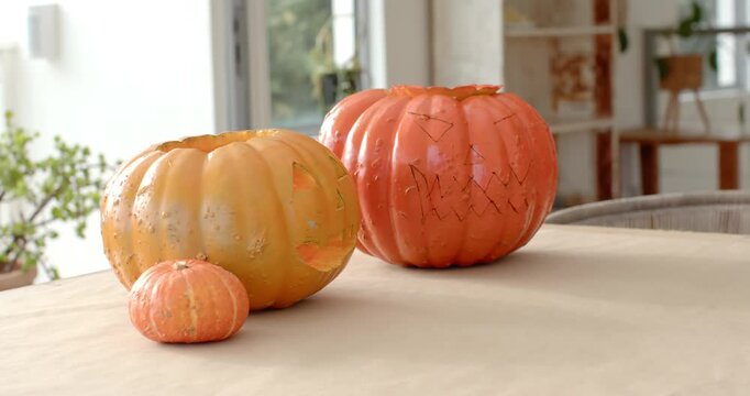 Camera is shifting as daylight is settling over three pumpkins on beige table, showing subtle focus