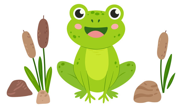 Frog sit in swamp. Wild nature animal character