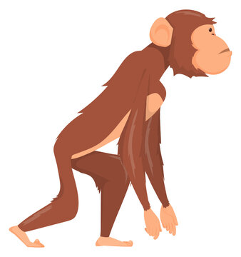 Standing ape. Prehistoric monkey animal walking side view