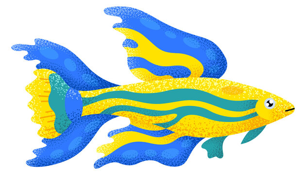 Colorful zebra fish icon. Underwater fauna. Aquatic animal