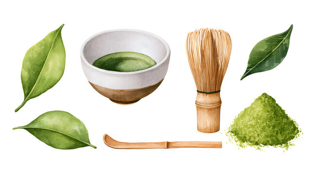 A set of watercolor art including matcha tea leaves, a tea bowl, a whisk, and powdered tea