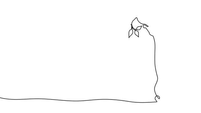 Continuous one-line giraffe drawing in minimalist style. African safari animal sketch with childish charm, perfect for modern nursery posters and wildlife art collections.