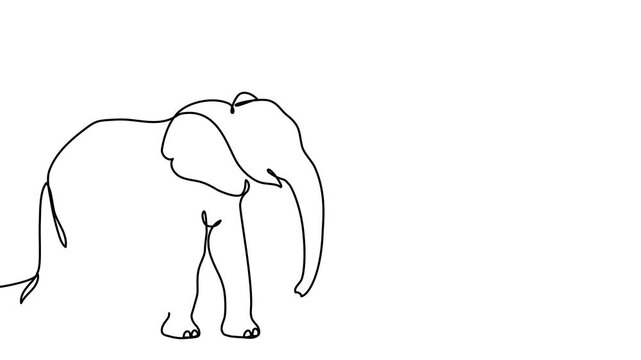 Single-line art depicting wildlife animal in minimalist style. Creative vector logo showcasing safari creature with trunk, perfect for zoo branding and nature projects.