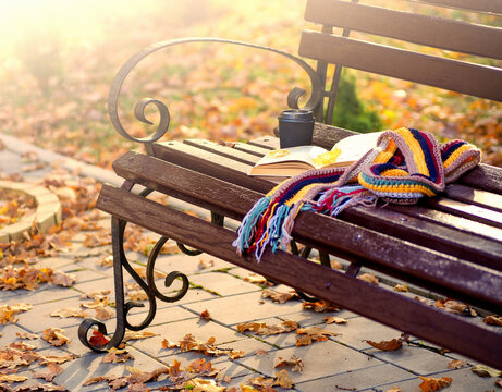 Book and scarf on wooden bench in autumn park.