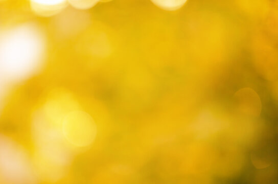 blurred abstract autumn background texture